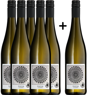 weingut-lena-und-sebastian-riesling-Paket Riesling 5+1 Paket