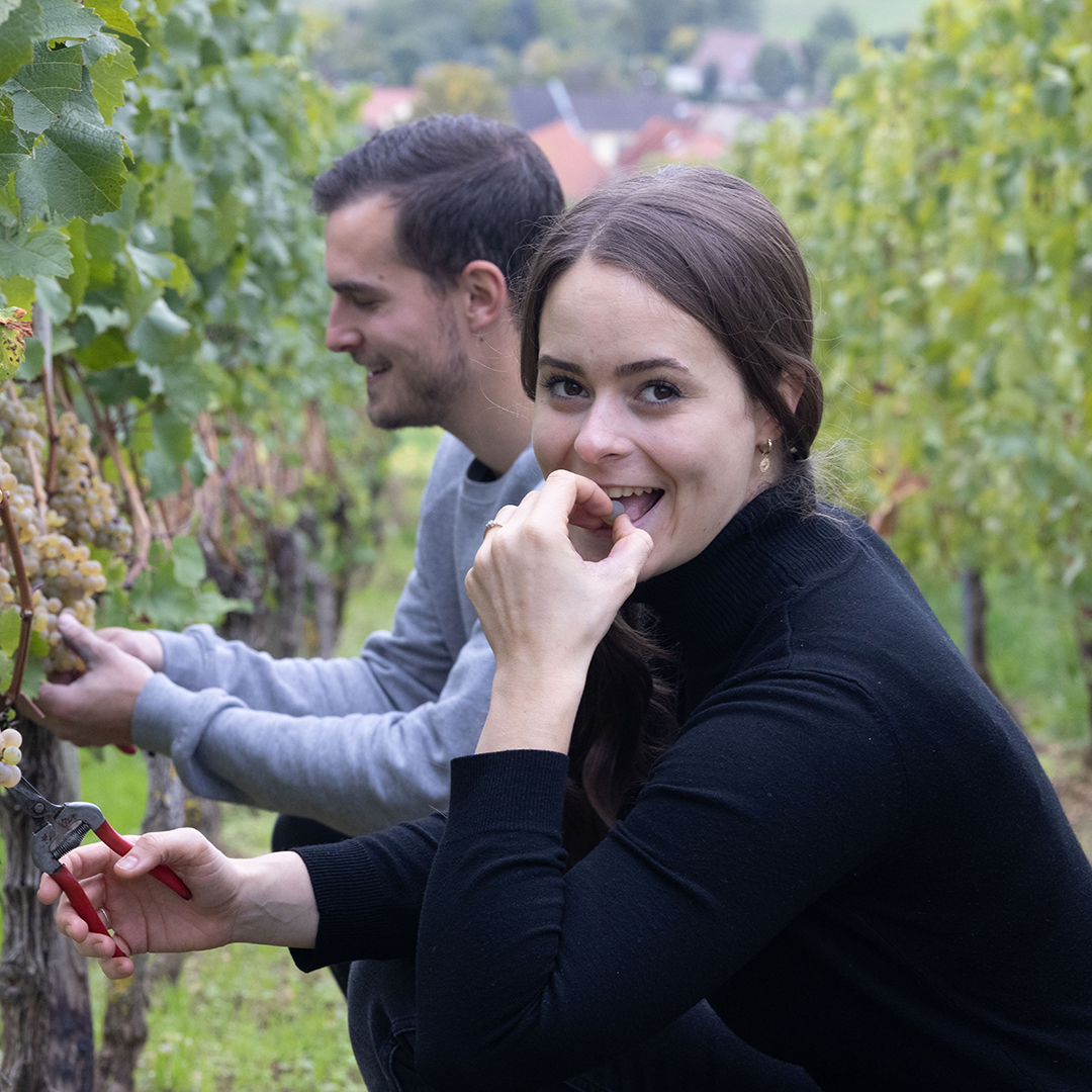 Lena Goeth vom Weingut Lena und Sebatsian bei der Weinlese 